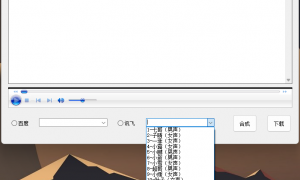 TTS文字转语音合成工具:多种音色接口 v1.0
