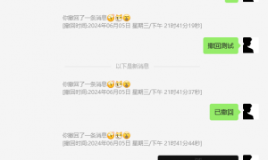微信电脑版 for Windows v3.9.11.9 多开消息防撤回绿色64位版