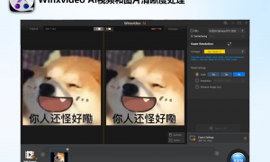 【巨好用】Winxvideo AI:视频图片变清晰AI降噪无损放大处理工具