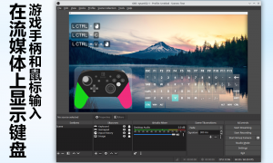Input-Overlay:直播键盘、游戏手柄和鼠标输入展示的OBS插件